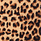 Cheetah Seat Cover fabric