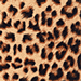 Coverking Cheetah seat covers