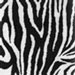 Zebra  seat covers